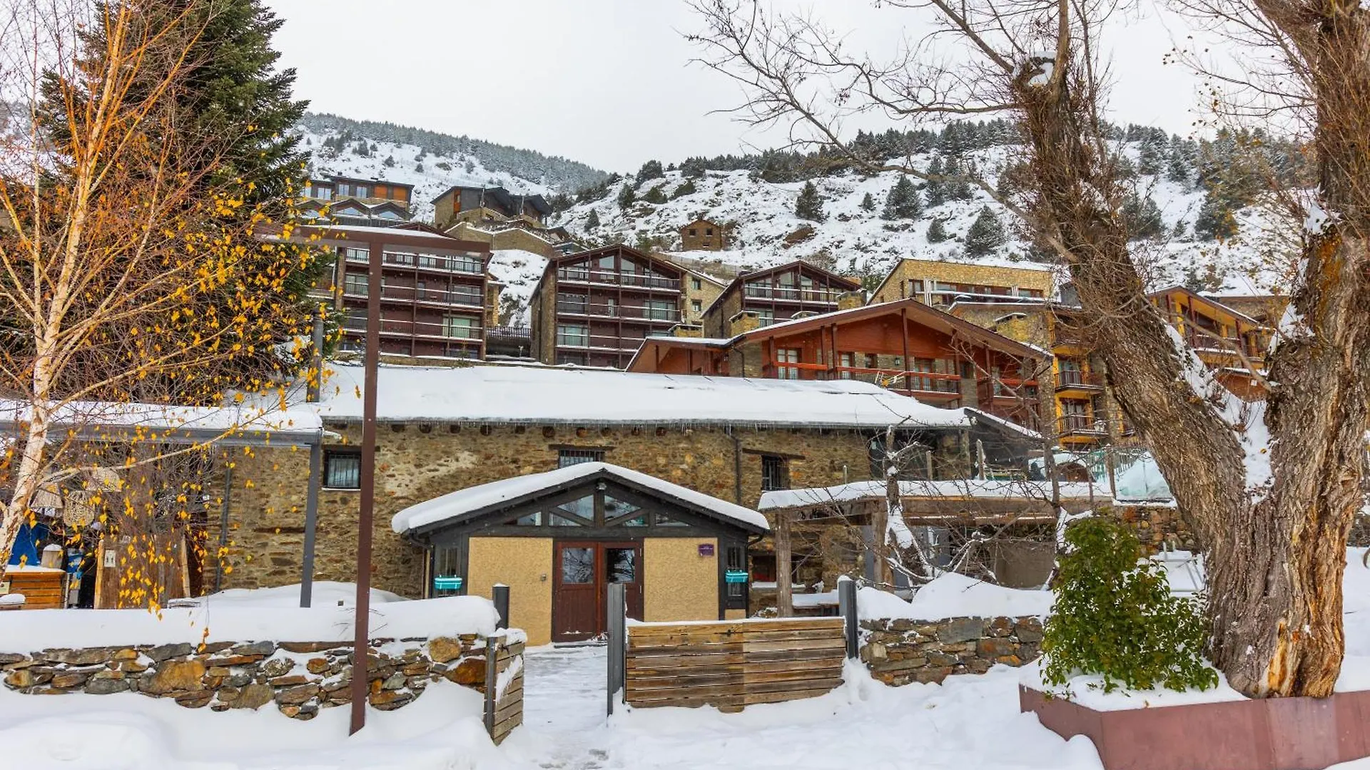 Mountain Hostel Tarter